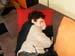 nouvel-an2007-2008(di#73BAA