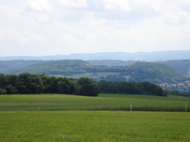 DSC00511