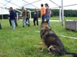 DSC00460